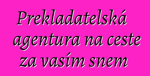 Překladatelská agentura na cestě za vaším snem