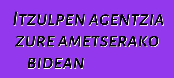 Itzulpen agentzia zure ametserako bidean