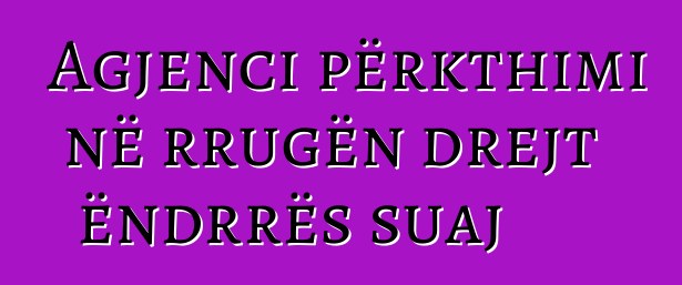 Agjenci përkthimi në rrugën drejt ëndrrës suaj