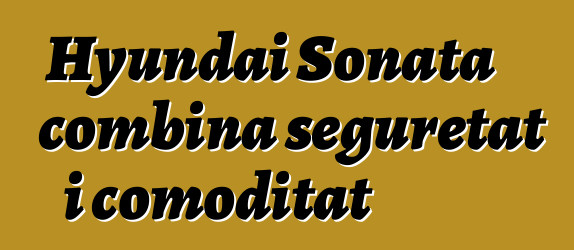 Hyundai Sonata combina seguretat i comoditat