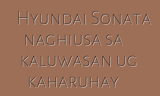 Hyundai Sonata naghiusa sa kaluwasan ug kaharuhay