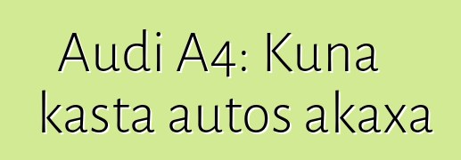 Audi A4: Kuna kasta autos akaxa