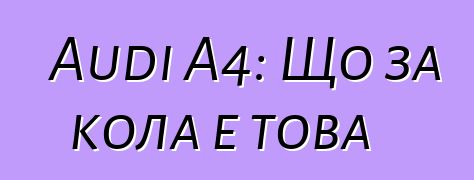 Audi A4: Що за кола е това