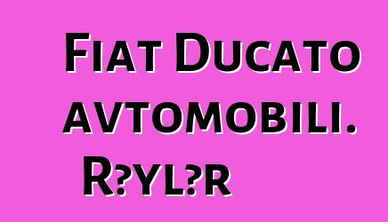Fiat Ducato avtomobili. Rəylər