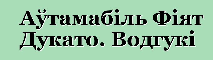 Аўтамабіль Фіят Дукато. Водгукі