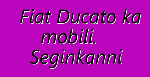 Fiat Ducato ka mobili. Seginkanni