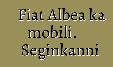 Fiat Albea ka mobili. Seginkanni