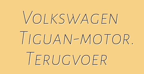 Volkswagen Tiguan-motor. Terugvoer