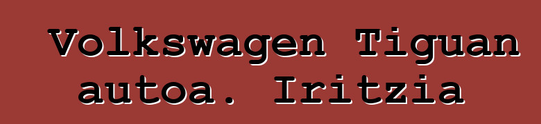 Volkswagen Tiguan autoa. Iritzia
