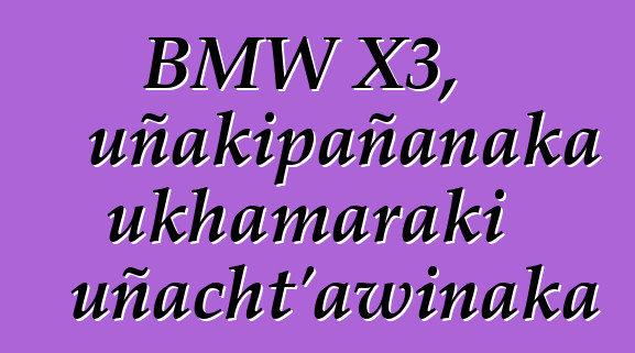 BMW X3, uñakipañanaka ukhamaraki uñacht’awinaka