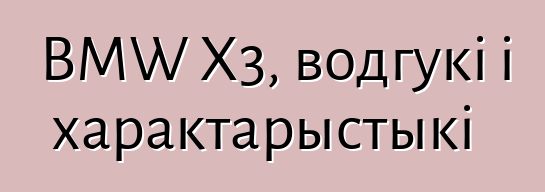 BMW X3, водгукі і характарыстыкі
