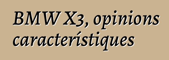 BMW X3, opinions i característiques