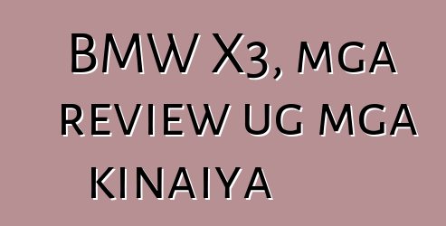 BMW X3, mga review ug mga kinaiya
