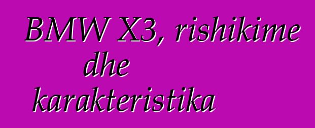 BMW X3, rishikime dhe karakteristika