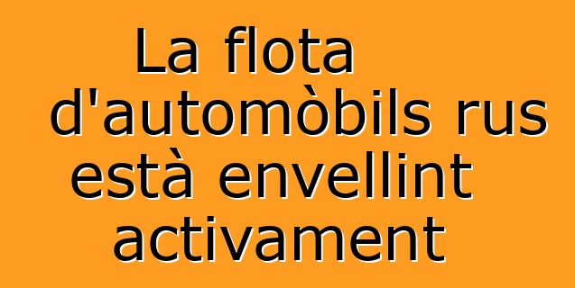La flota d'automòbils rus està envellint activament