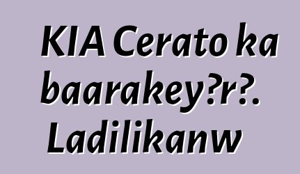 KIA Cerato ka baarakɛyɔrɔ. Ladilikanw