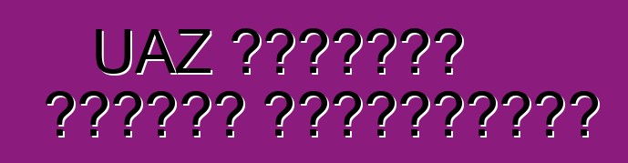 UAZ হান্টার গাড়ি। পর্যালোচনা