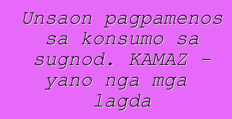 Unsaon pagpamenos sa konsumo sa sugnod. KAMAZ - yano nga mga lagda