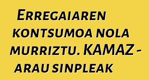 Erregaiaren kontsumoa nola murriztu. KAMAZ - arau sinpleak
