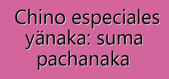 Chino especiales yänaka: suma pachanaka