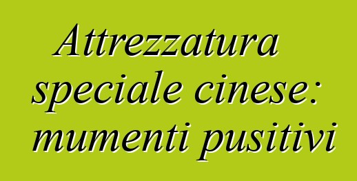 Attrezzatura speciale cinese: mumenti pusitivi