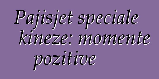 Pajisjet speciale kineze: momente pozitive
