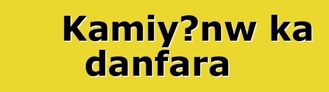Kamiyɔnw ka danfara