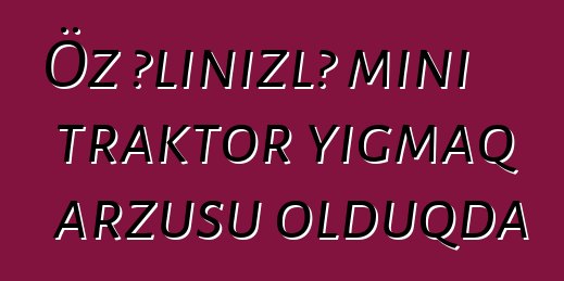 Öz əlinizlə mini traktor yığmaq arzusu olduqda