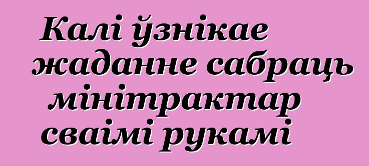 Калі ўзнікае жаданне сабраць мінітрактар сваімі рукамі