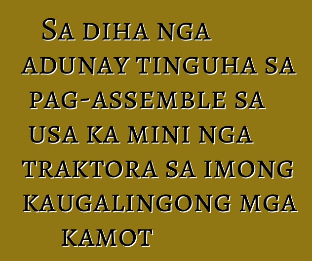 Sa diha nga adunay tinguha sa pag-assemble sa usa ka mini nga traktora sa imong kaugalingong mga kamot