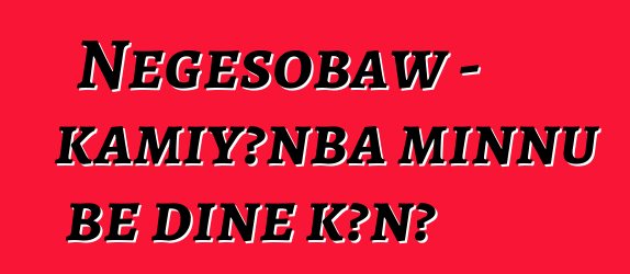 Nɛgɛsobaw - kamiyɔnba minnu bɛ diɲɛ kɔnɔ
