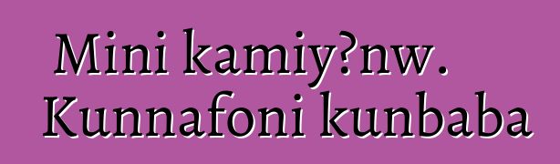 Mini kamiyɔnw. Kunnafoni kunbaba