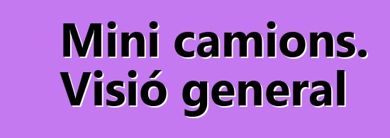 Mini camions. Visió general