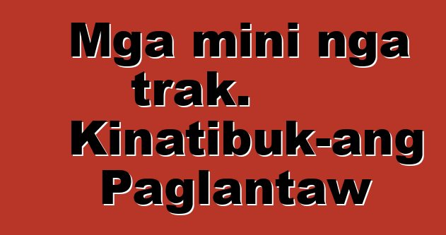 Mga mini nga trak. Kinatibuk-ang Paglantaw