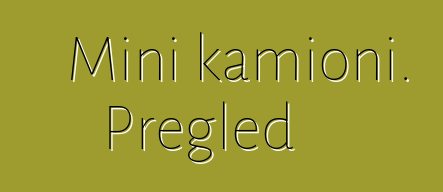 Mini kamioni. Pregled