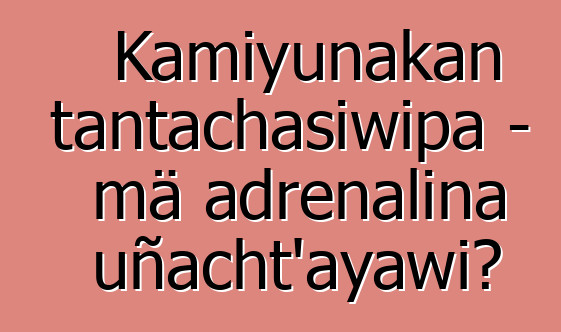 Kamiyunakan tantachasiwipa - mä adrenalina uñacht’ayawi?