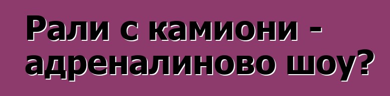 Рали с камиони - адреналиново шоу?