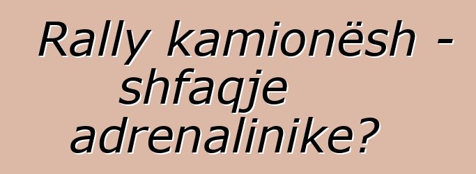 Rally kamionësh - shfaqje adrenalinike?