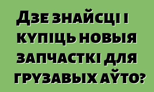 Дзе знайсці і купіць новыя запчасткі для грузавых аўто?