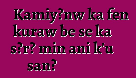 Kamiyɔnw ka fɛn kuraw bɛ se ka sɔrɔ min ani k’u san?
