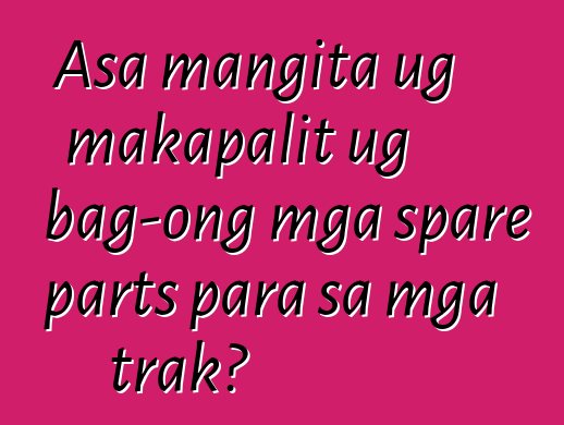 Asa mangita ug makapalit ug bag-ong mga spare parts para sa mga trak?