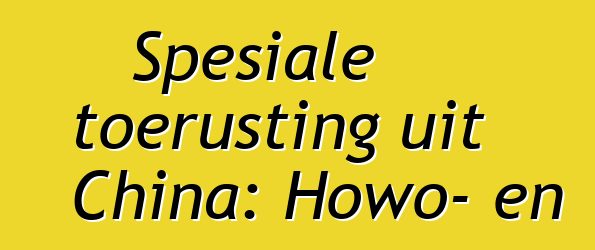 Spesiale toerusting uit China: Howo- en Shaanxi-betonmengervragmotors