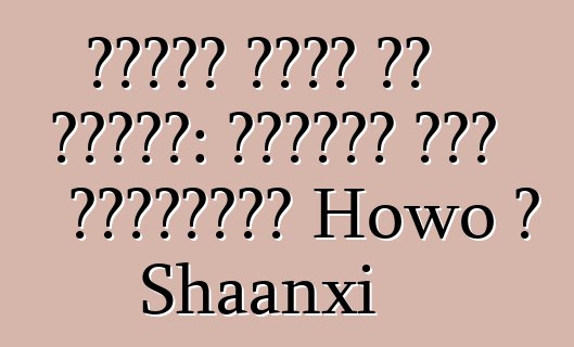 معدات خاصة من الصين: شاحنات خلط الخرسانة Howo و Shaanxi