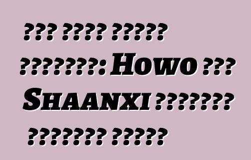 চীন থেকে বিশেষ সরঞ্জাম: Howo এবং Shaanxi কংক্রিট মিক্সার ট্রাক