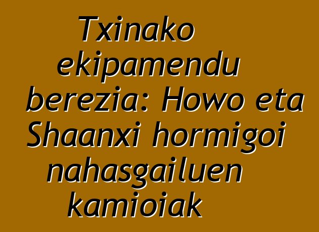Txinako ekipamendu berezia: Howo eta Shaanxi hormigoi nahasgailuen kamioiak