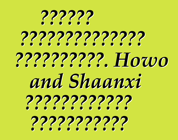 Հատուկ սարքավորումներ Չինաստանից. Howo and Shaanxi բետոնախառնիչ բեռնատարներ