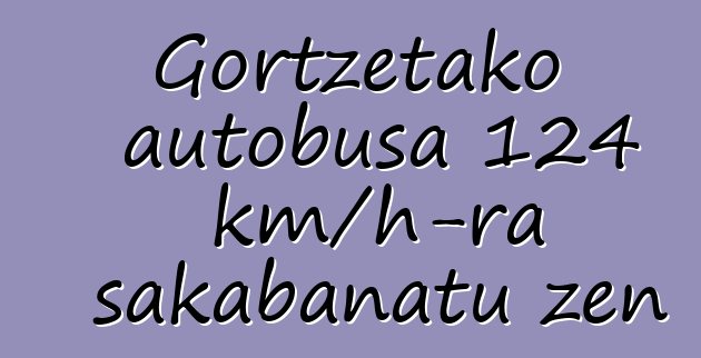 Gortzetako autobusa 124 km/h-ra sakabanatu zen