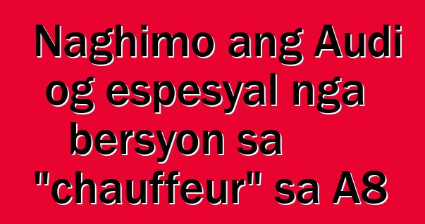 Naghimo ang Audi og espesyal nga bersyon sa "chauffeur" sa A8