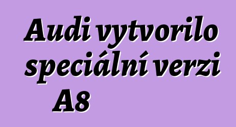 Audi vytvořilo speciální verzi A8
