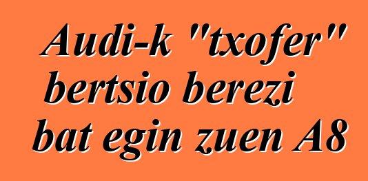 Audi-k "txofer" bertsio berezi bat egin zuen A8